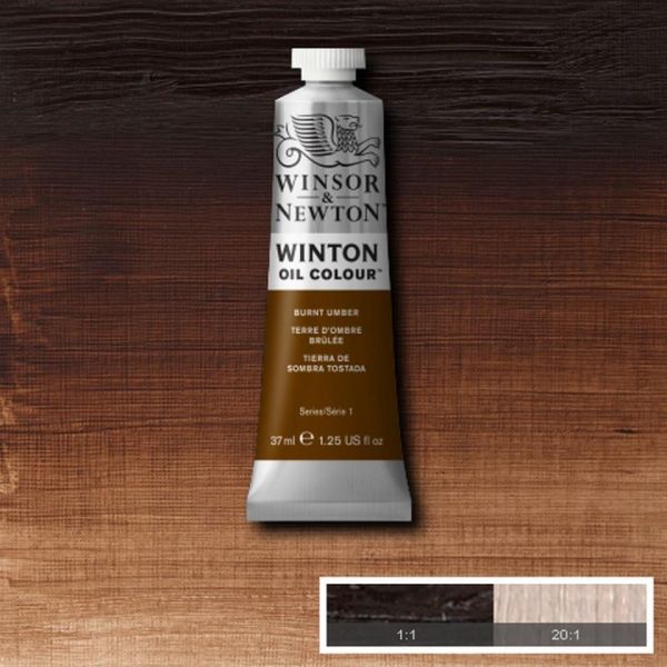 Winsor & Newton Winton Oil Paint Burnt Umber 37ml