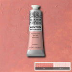 Winsor & Newton Winton Oil Paint Pale Rose Blush (Flesh Tint) 37ml