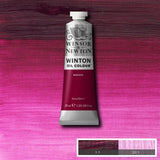 Winsor & Newton Winton Oil Paint Magenta 37ml