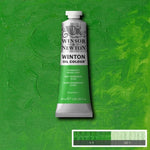 Winsor & Newton Winton Oil Paint Permanent Green Light 37ml