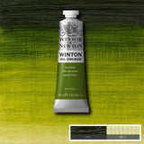 Winsor & Newton Winton Oil Paint Sap Green 37ml
