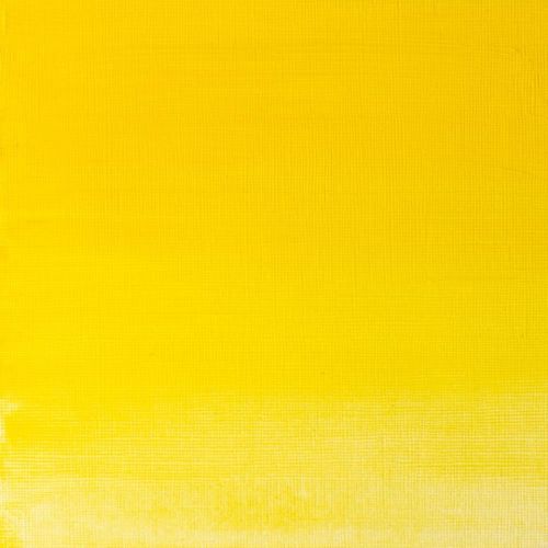 Winsor & Newton Griffin Alkyd Fast Drying Oil Paint Winsor Yellow S1 37ml