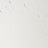 Winsor & Newton Griffin Alkyd Fast Drying Oil Paint Titanium White S1 200ml