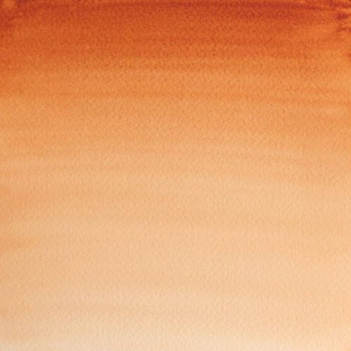Winsor & Newton Professional Watercolour Paint S1 Burnt Sienna