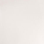 Winsor & Newton Professional Watercolour Paint S1 Chinese White