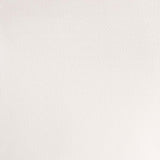 Winsor & Newton Professional Watercolour Paint S1 Chinese White 5ml