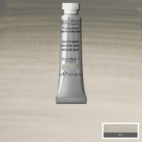 Winsor & Newton Professional Watercolour Paint S1 Davy's Gray