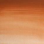 Winsor & Newton Professional Watercolour Paint S1 Magnesium Brown