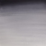 Winsor & Newton Professional Watercolour Paint S1 Neutral Tint