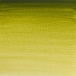 Winsor & Newton Professional Watercolour Paint S1 Olive Green