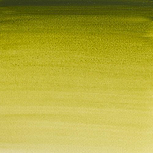 Winsor & Newton Professional Watercolour Paint S1 Olive Green