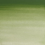 Winsor & Newton Professional Watercolour Paint S3 Oxide Of Chromium