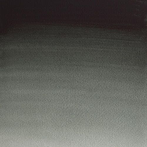 Winsor & Newton Professional Watercolour Paint S2 Perylene Green