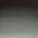 Winsor & Newton Professional Watercolour Paint S2 Perylene Green 5ml