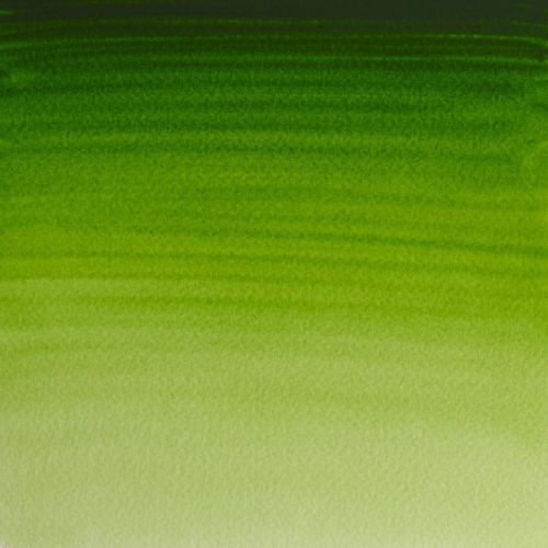 Winsor & Newton Professional Watercolour Paint S1 Permanent Sap Green