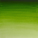 Winsor & Newton Professional Watercolour Paint S1 Permanent Sap Green