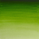 Winsor & Newton Professional Watercolour Paint S1 Permanent Sap Green 5ml