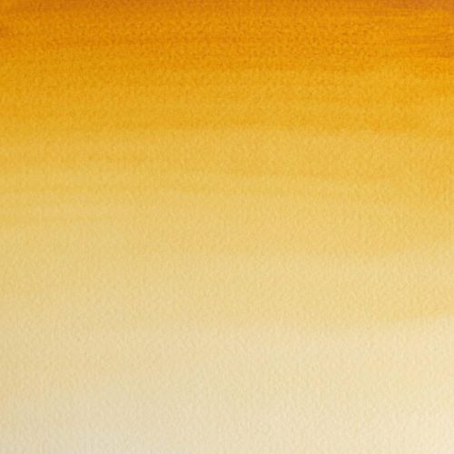 Winsor & Newton Professional Watercolour Paint S1 Raw Sienna
