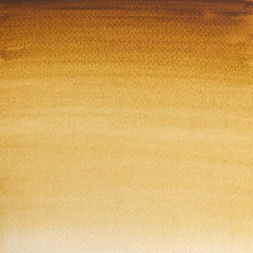 Winsor & Newton Professional Watercolour Paint S1 Raw Umber