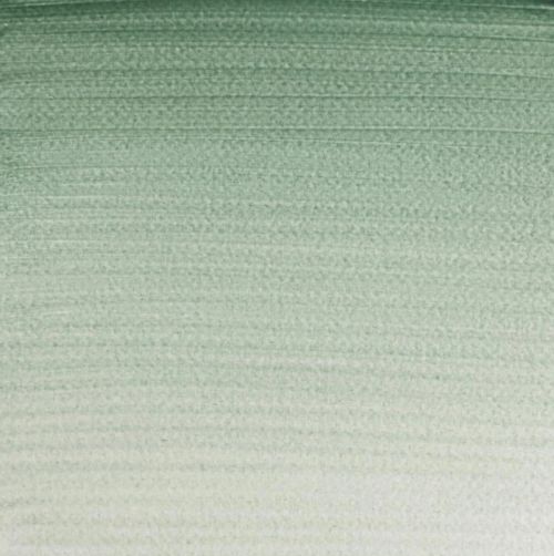 Winsor & Newton Professional Watercolour Paint S1 Terre Verte