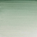 Winsor & Newton Professional Watercolour Paint S1 Terre Verte