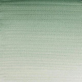 Winsor & Newton Professional Watercolour Paint S1 Terre Verte 5ml