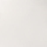 Winsor & Newton Professional Watercolour Paint S1 Titanium White Opaque 5ml