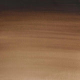 Winsor & Newton Professional Watercolour Paint S1 Vandyke Brown 5ml