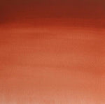 Winsor & Newton Professional Watercolour Paint S1 Venetian Red