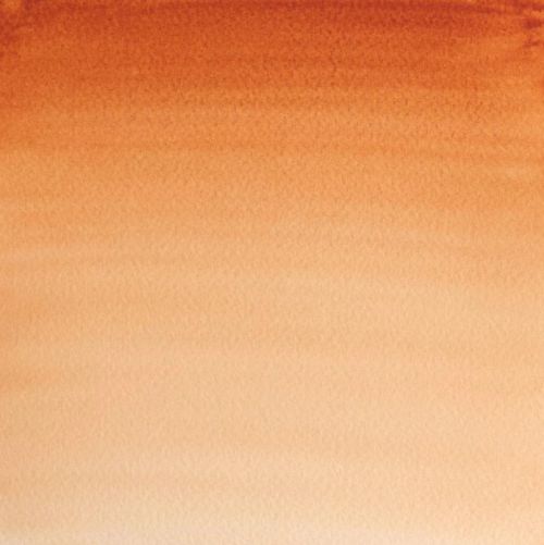 Winsor & Newton Professional Watercolour Paint S1 Burnt Sienna