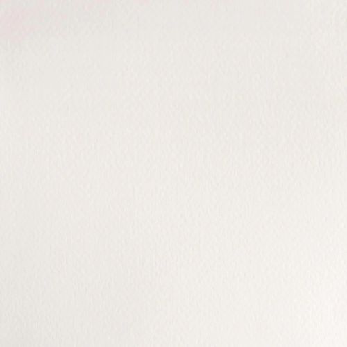 Winsor & Newton Professional Watercolour Paint S1 Chinese White