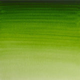 Winsor & Newton Professional Watercolour Paint S1 Permanent Sap Green 14ml