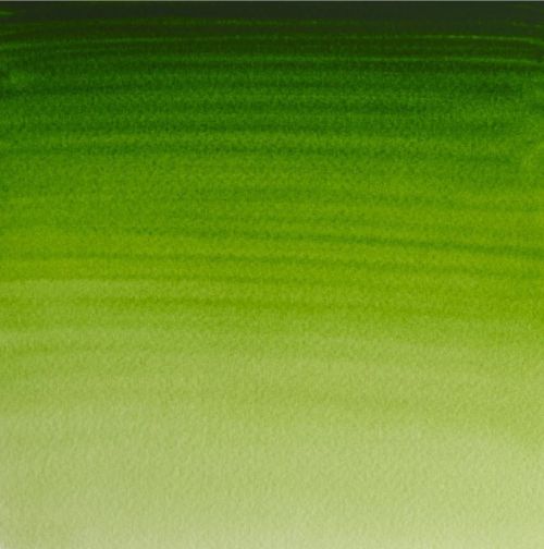 Winsor & Newton Professional Watercolour Paint S1 Permanent Sap Green