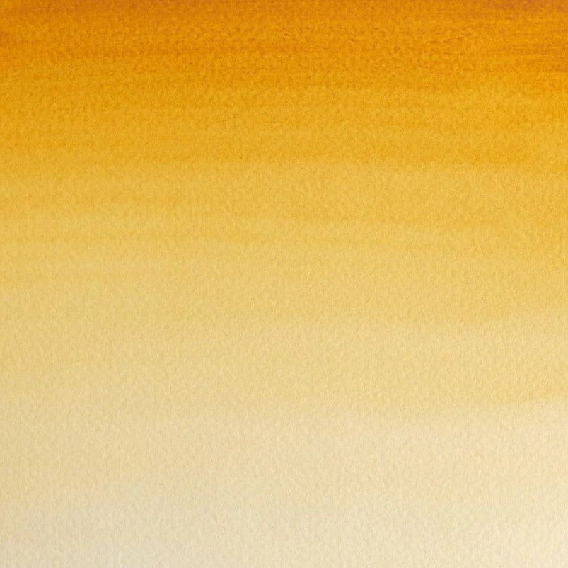 Winsor & Newton Professional Watercolour Paint S1 Raw Sienna