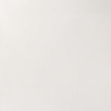 Winsor & Newton Professional Watercolour Paint S1 Titanium White 14ml