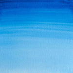 Winsor & Newton Professional Watercolour Paint S1 Winsor Blue Green Shade