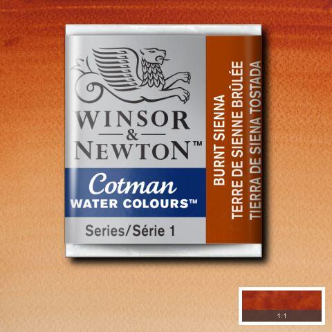 Winsor & Newton Cotman Watercolour Paint Burnt Sienna