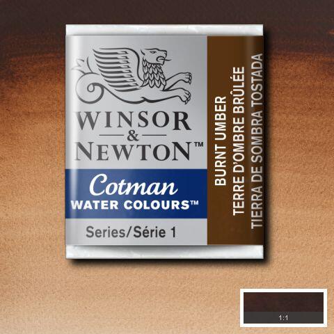 Winsor & Newton Cotman Watercolour Paint Burnt Umber