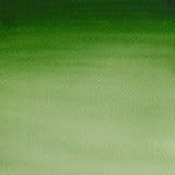 Winsor & Newton Cotman Watercolour Paint Hookers Green Light 1/2 Pan