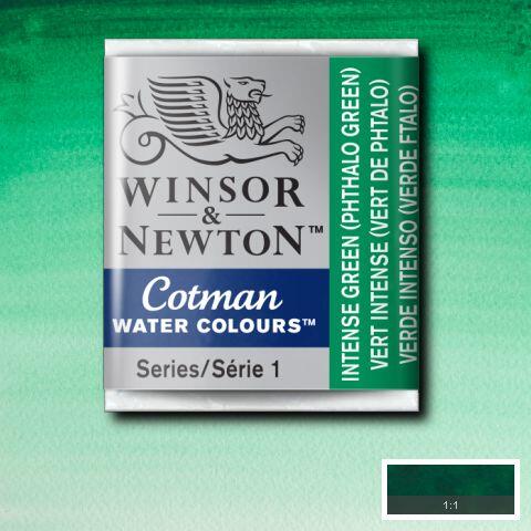 Winsor & Newton Cotman Watercolour Paint Intense Green