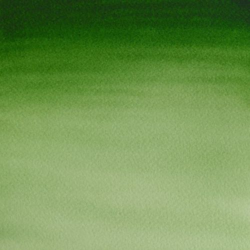 Winsor & Newton Cotman Watercolour Paint Hookers Green Light