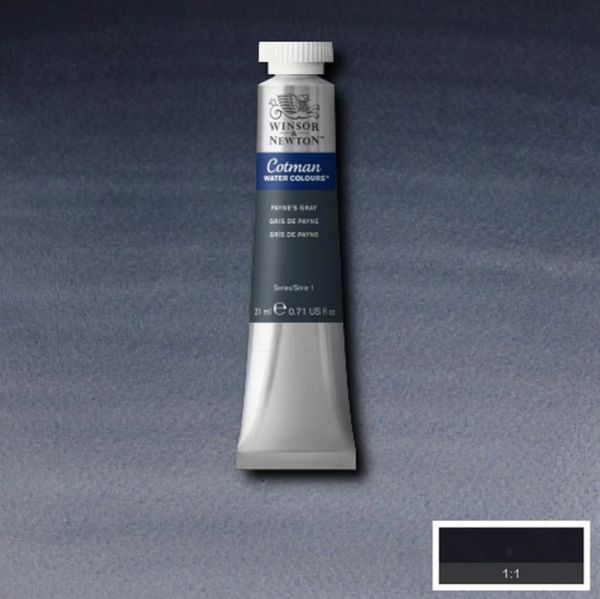 Winsor & Newton Cotman Watercolour Paint Payne's Gray
