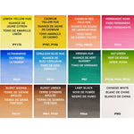 Winsor & Newton Cotman Watercolour Paint Field Travel 1/2 Pan Set 12 SET
