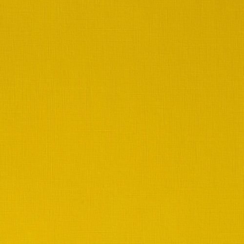 Winsor & Newton Professional Acrylic Paint Azo Yellow Medium 60ml