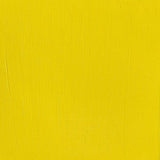 Winsor & Newton Professional Acrylic Paint Bismuth Yellow 60ml