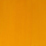 Winsor & Newton Professional Acrylic Paint Azo Yellow Deep 60ml