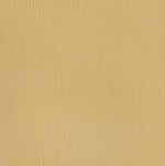 Winsor & Newton Professional Acrylic Paint Buff Titanium 60ml
