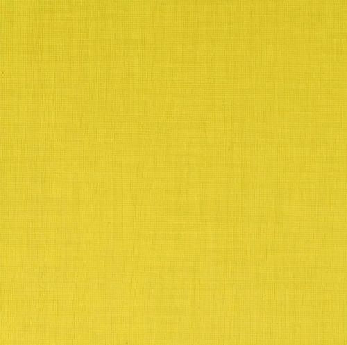 Winsor & Newton Professional Acrylic Paint Cadmium Lemon 60ml