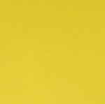 Winsor & Newton Professional Acrylic Paint Cadmium Lemon 60ml