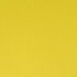 Winsor & Newton Professional Acrylic Paint Cadmium Lemon 60ml